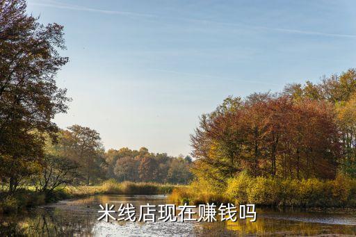 哆來米線下體驗(yàn)店賺錢嗎知乎，米線店現(xiàn)在賺錢嗎