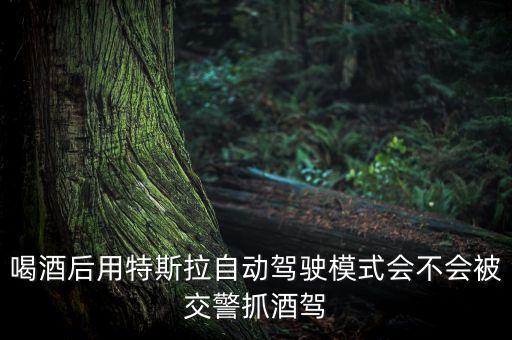 喝酒后用特斯拉自動駕駛模式會不會被交警抓酒駕