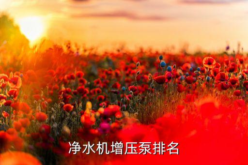 凈水機(jī)增壓泵排名