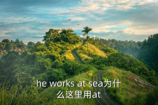 he works at sea為什么這里用at