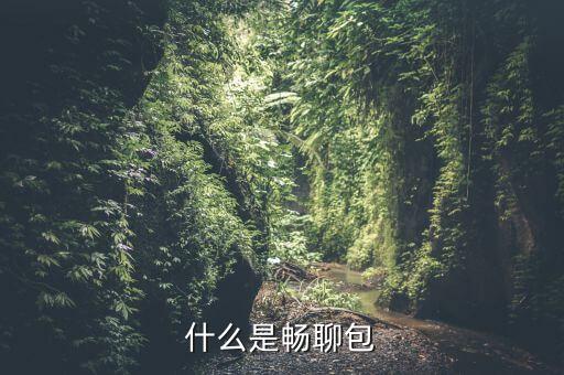 什么是暢聊包