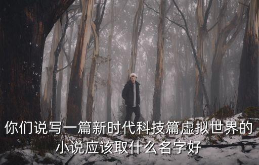 你們說(shuō)寫(xiě)一篇新時(shí)代科技篇虛擬世界的小說(shuō)應(yīng)該取什么名字好