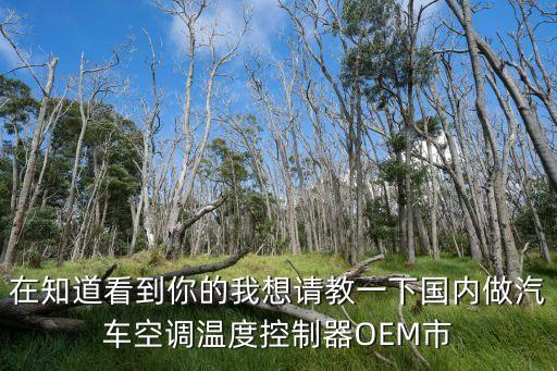 汽車域控制器龍頭企業(yè)，國內控制器非常出色的公司有哪些