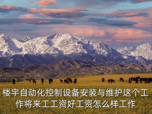 樓宇自動化控制設(shè)備安裝與維護(hù)這個工作將來工工資好工資怎么樣工作