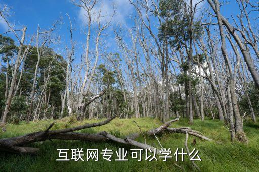 互聯(lián)網(wǎng)專業(yè)可以學(xué)什么