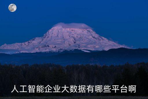 人工智能開發(fā)平臺有哪些，人工智能網(wǎng)站有哪些