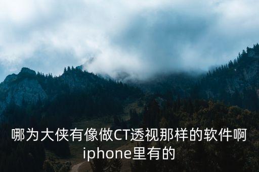 哪為大俠有像做CT透視那樣的軟件啊iphone里有的