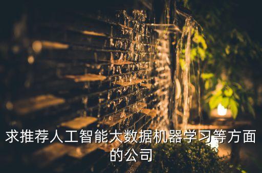 求推薦人工智能大數(shù)據(jù)機(jī)器學(xué)習(xí)等方面的公司