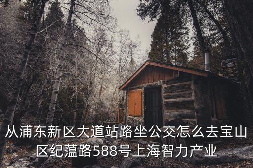 從浦東新區(qū)大道站路坐公交怎么去寶山區(qū)紀(jì)蕰路588號(hào)上海智力產(chǎn)業(yè)