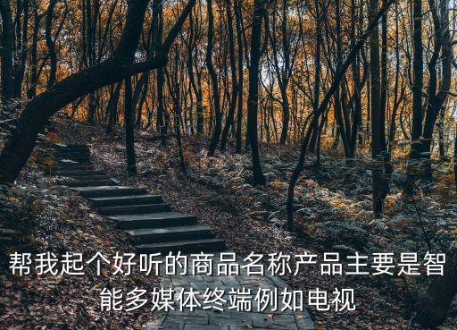 幫我起個好聽的商品名稱產(chǎn)品主要是智能多媒體終端例如電視