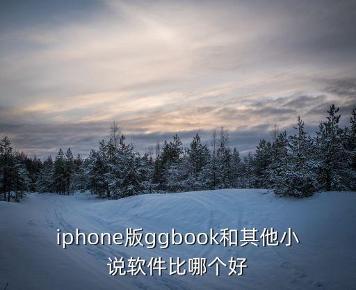 我最強(qiáng)科技大佬愛(ài)看書(shū)吧，iphone版ggbook和其他小說(shuō)軟件比哪個(gè)好