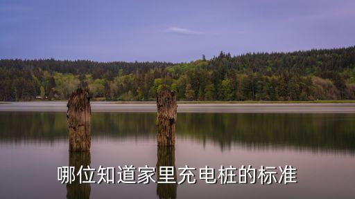 哪位知道家里充電樁的標(biāo)準(zhǔn)