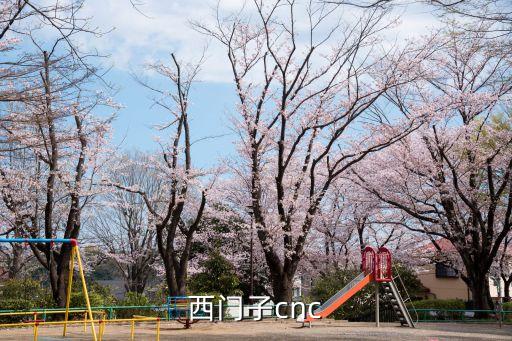 西門子自動化設備，西門子自動化系統(tǒng)中的simatic是什么意思