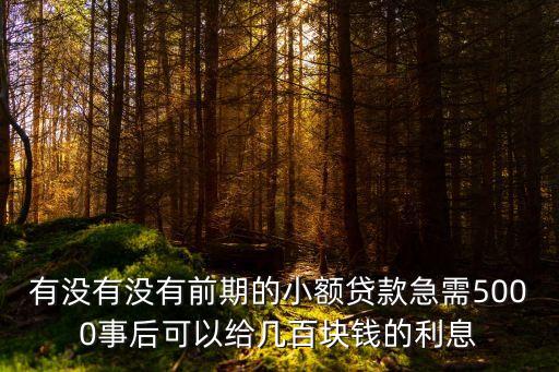 有沒有沒有前期的小額貸款急需5000事后可以給幾百塊錢的利息