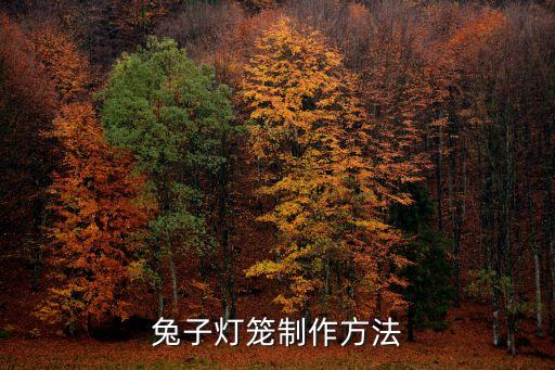 兔子燈籠制作方法