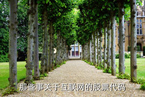 那些事關于互聯(lián)網(wǎng)的股票代碼