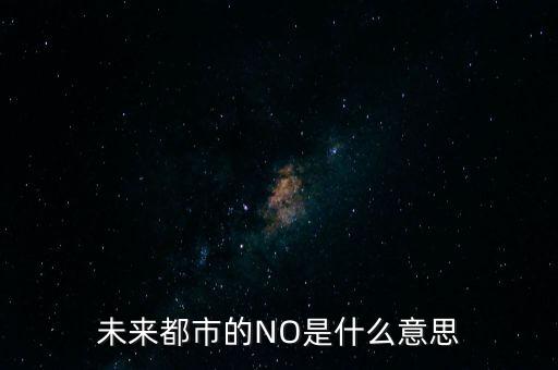 未來都市的NO是什么意思