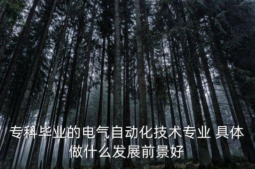 ?？飘厴I(yè)的電氣自動(dòng)化技術(shù)專業(yè) 具體做什么發(fā)展前景好