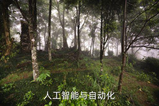 人工智能與自動(dòng)化