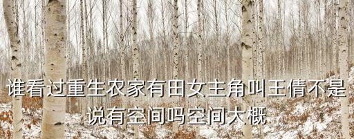 誰(shuí)看過重生農(nóng)家有田女主角叫王倩不是說有空間嗎空間大概