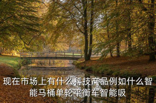 現(xiàn)在市場上有什么科技產(chǎn)品例如什么智能馬桶單輪平衡車智能吸