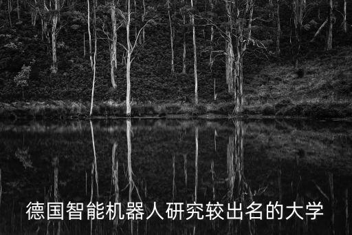 德國智能機(jī)器人研究較出名的大學(xué)