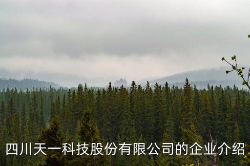 四川天一科技股份有限公司的企業(yè)介紹