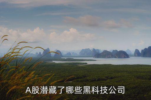 炒股的黑科技是什么軟件，龍的天空的各大版塊