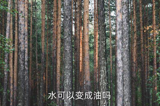 水可以變成油嗎