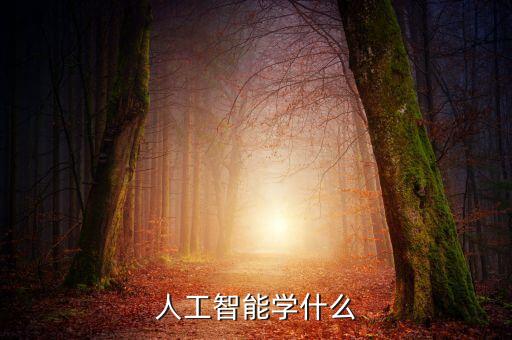 人工智能學(xué)什么
