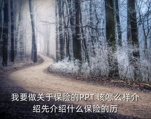 我要做關(guān)于保險的PPT 該怎么樣介紹先介紹什么保險的歷
