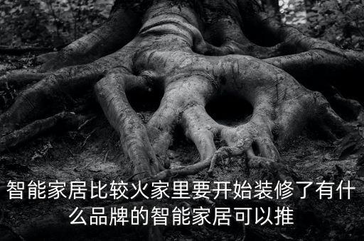 智能家居生態(tài)鏈排行榜，國內(nèi)最具影響力的智能家居品牌排行榜有哪些