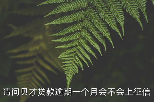 請問貝才貸款逾期一個月會不會上征信