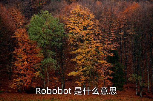 Robobot 是什么意思