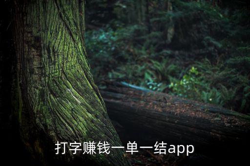 打字賺錢一單一結(jié)app