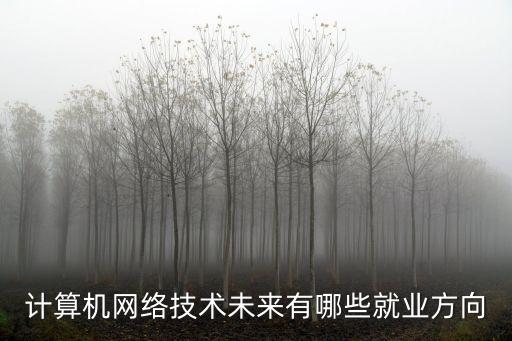 計(jì)算機(jī)網(wǎng)絡(luò)技術(shù)未來有哪些就業(yè)方向