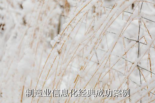制造業(yè)信息化經(jīng)典成功案例