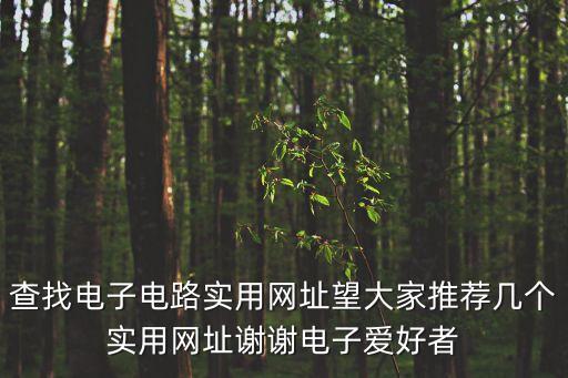 查找電子電路實用網(wǎng)址望大家推薦幾個實用網(wǎng)址謝謝電子愛好者