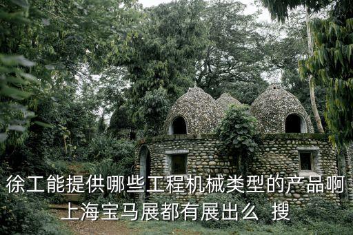 徐工能提供哪些工程機(jī)械類型的產(chǎn)品啊上海寶馬展都有展出么  搜