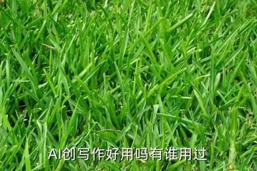 AI創(chuàng)寫作好用嗎有誰用過