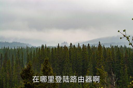在哪里登陸路由器啊