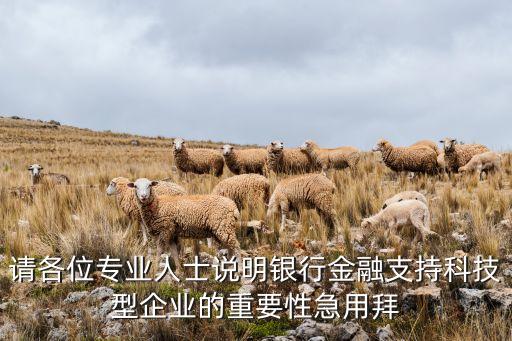 金融科技助力銀行數(shù)字化轉(zhuǎn)型工作，請(qǐng)各位專業(yè)人士說(shuō)明銀行金融支持科技型企業(yè)的重要性急用拜