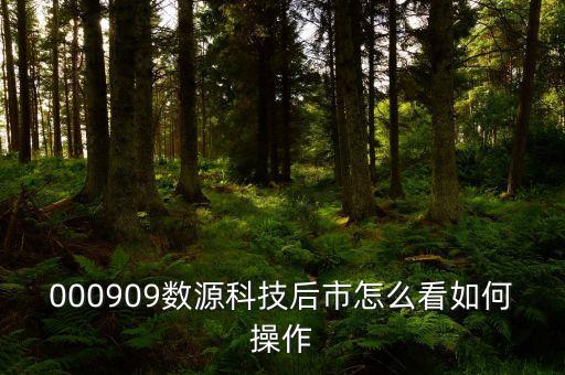 000909數(shù)源科技后市怎么看如何操作