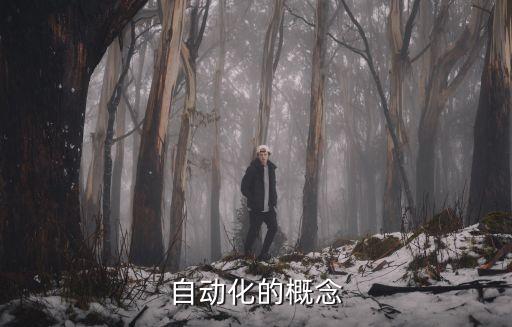 自動(dòng)化的概念