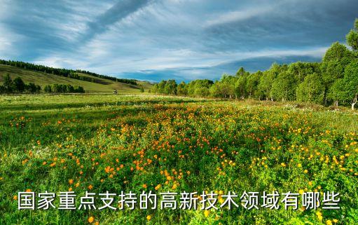 國家重點(diǎn)支持的高新技術(shù)領(lǐng)域有哪些