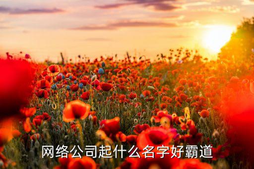 網(wǎng)絡(luò)公司起什么名字好霸道