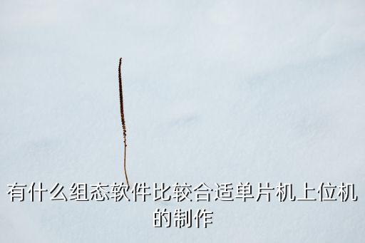 有什么組態(tài)軟件比較合適單片機上位機的制作