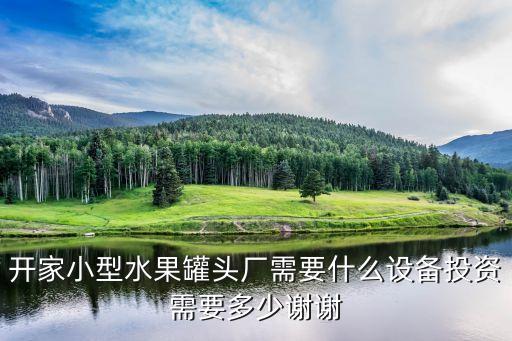 罐頭生產(chǎn)線灌裝生產(chǎn)線，易拉罐生產(chǎn)線多少錢 100萬罐