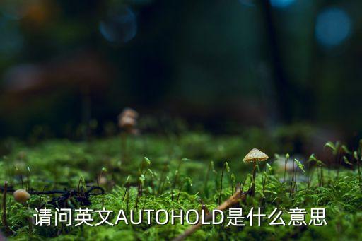 請(qǐng)問(wèn)英文AUTOHOLD是什么意思