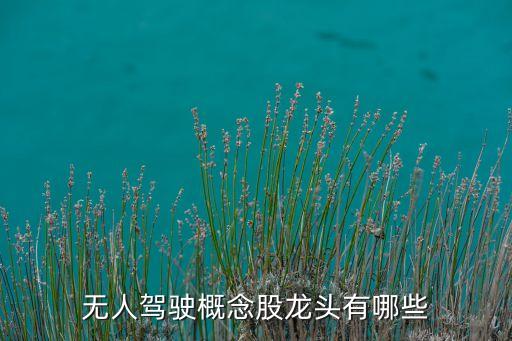 無人駕駛概念股龍頭有哪些